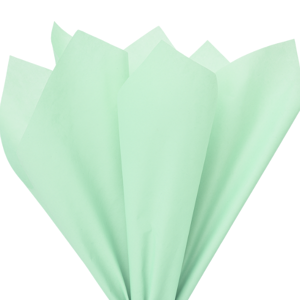 Cool Mint Wrapping Tissue (24 Sheet Pack) - Image 2