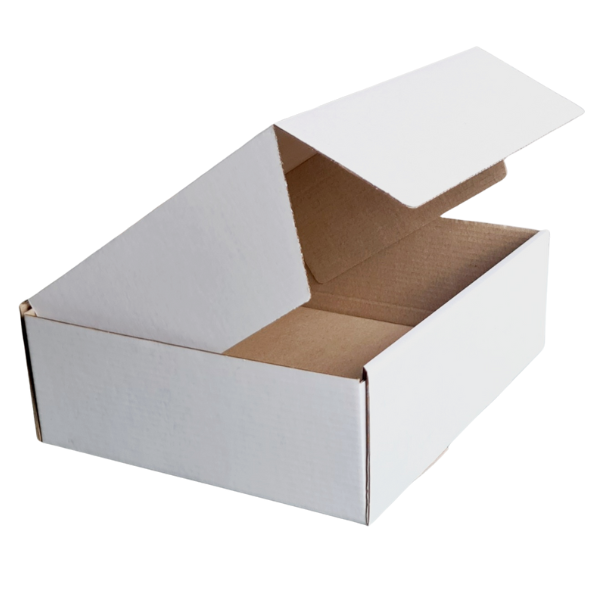 Shipper Box Large White - 300 x 260 x 100mm